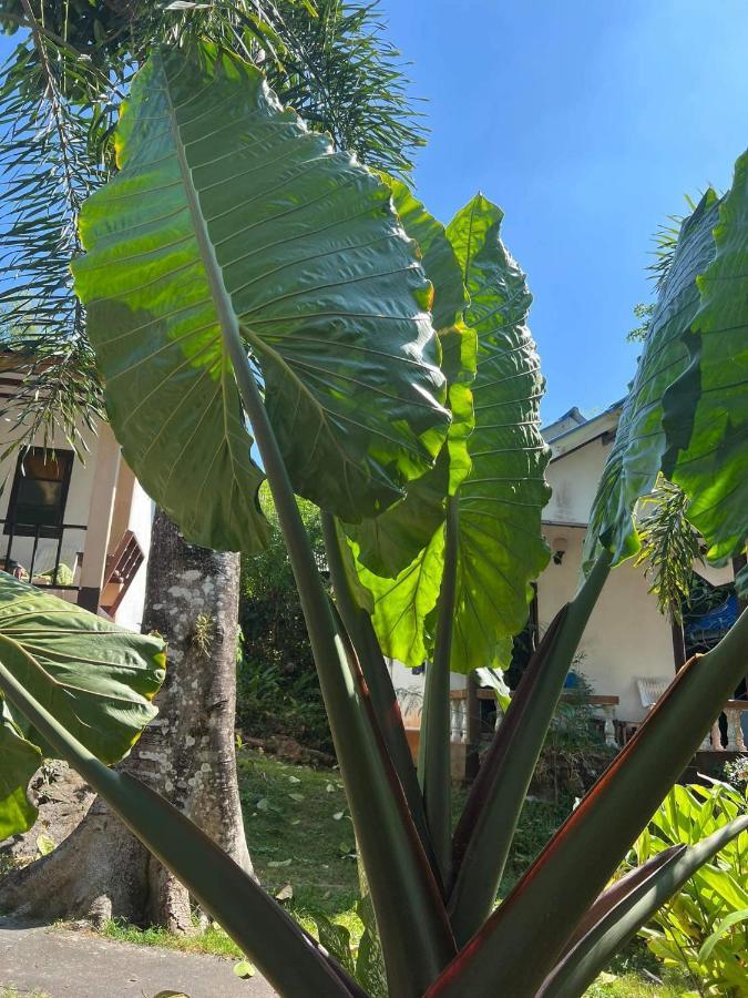 Cher Lonely Beach Resort Κο Τσανγκ Εξωτερικό φωτογραφία